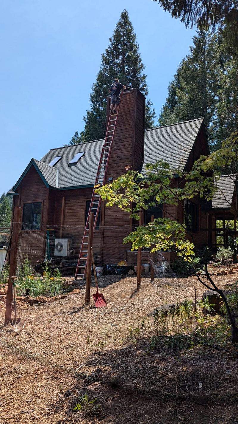 Chimney Tuckpointing vs. Repointing: What Pittsburgh Homeowners Should Know